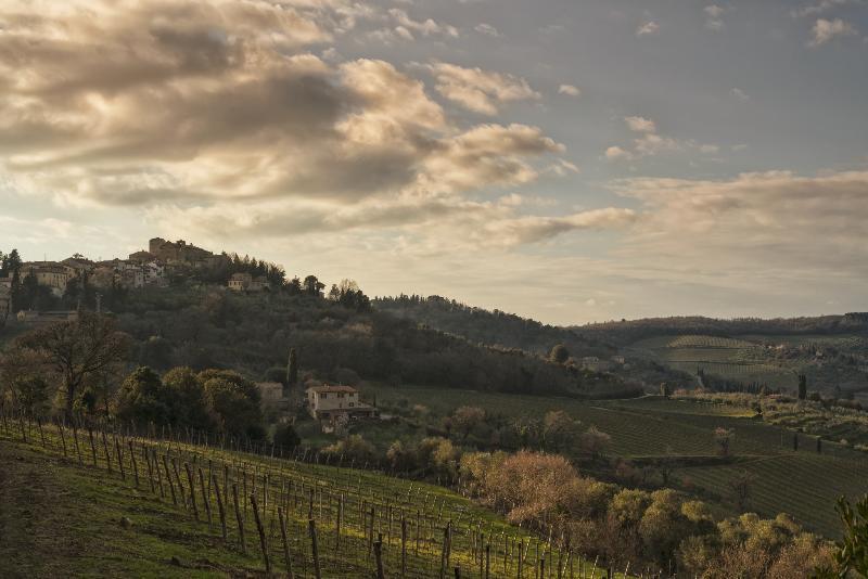 La Di Vignamaggio Hotel
